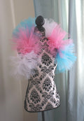 Trans Pride Boa