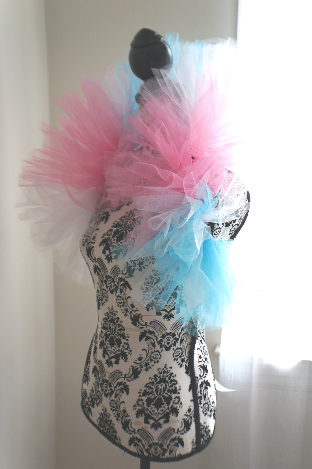 Trans Pride Boa