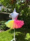 Pansexual Pride Adult Tutu Skirt