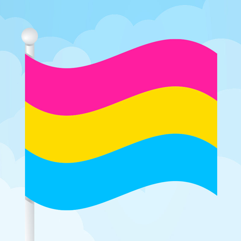 Pansexual Pride Adult Tutu Skirt
